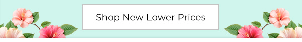 Shop New Lower Prices