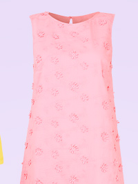 Belle Broderie Shift Dress