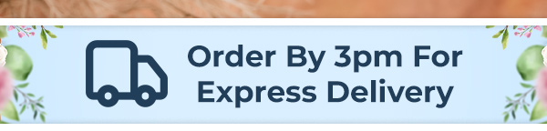 Order By 3pm For Express Delivery