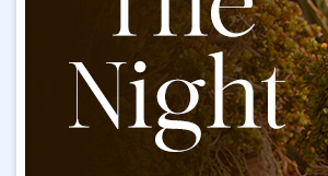 Own The Night