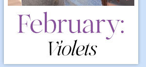February: Violets