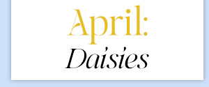 April: Daisies