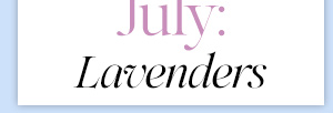 July: Lavenders