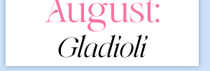 August: Gladioli