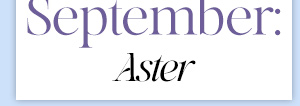 September: Aster