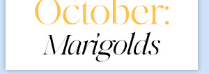 October: Marigolds