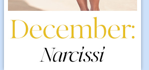 December: Narcissi