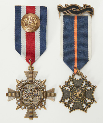 Pack Of 2 Military Style Badges Pack Of 2 Military Style Badges