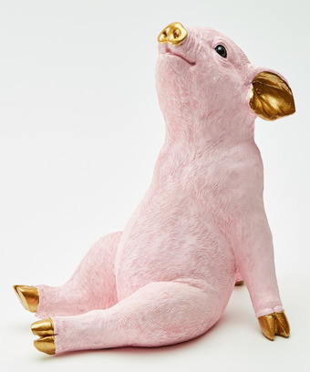 Pink And Gold Pig Pink And Gold Pig