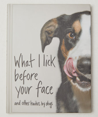 What I Lick Before Your Face Book What I Lick Before Your Face Book