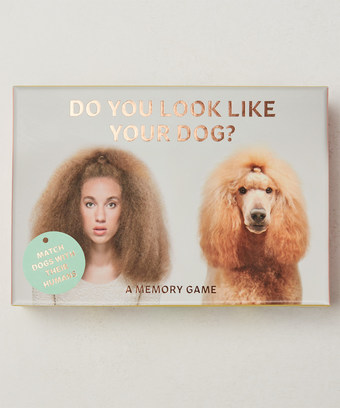 Do You Look Like Your Dog - A Memory Game Do You Look Like Your Dog - A Memory Game