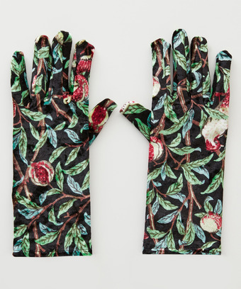 Indian Palace Velvet Gloves Indian Palace Velvet Gloves