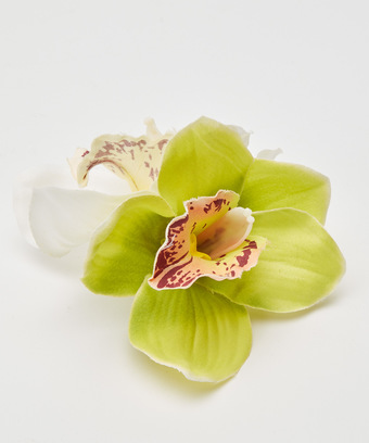 Tropical Orchid Hair Clip Tropical Orchid Hair Clip