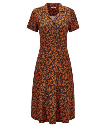 Curious Collar Dress Curious Collar Dress